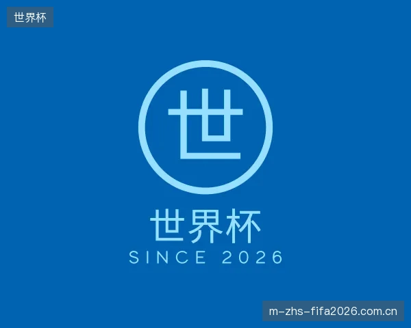 关于世界杯公司